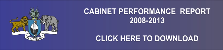 cabinet report